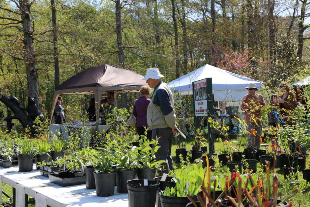 Virginia Living Museum LIVE Spring Native Plant Sale Virginia