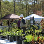 LIVE- Spring Native Plant Sale