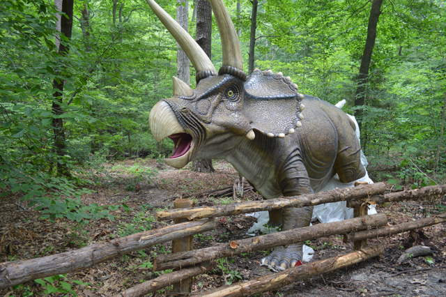 DT-Triceratops