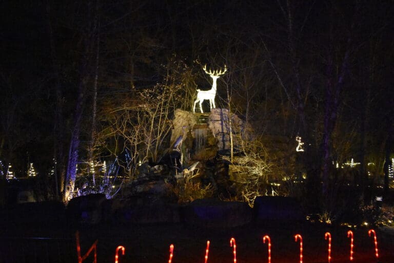 __Deer atop waterfall