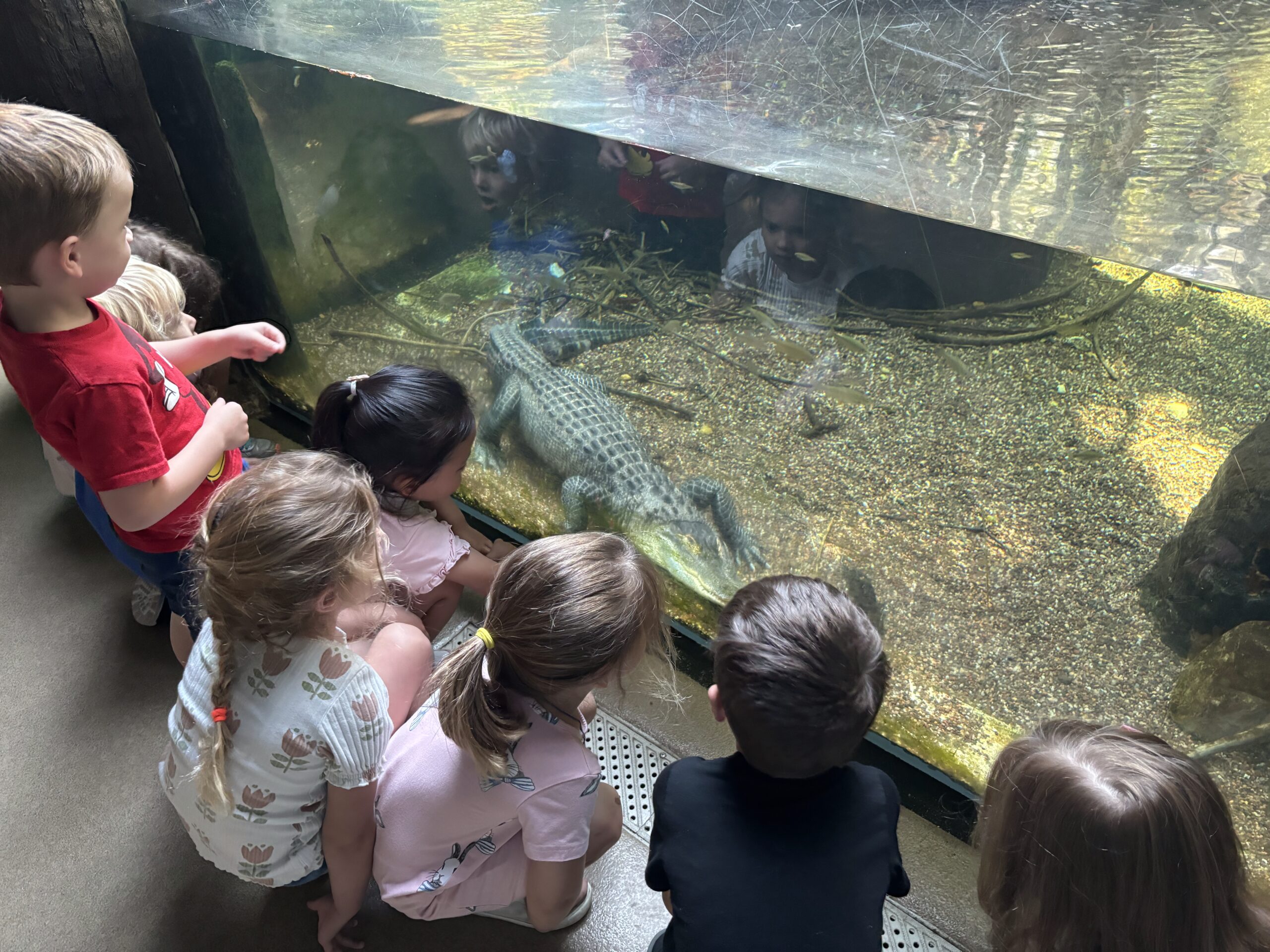 Early Learners at the VLM: Dino-mite Discovery