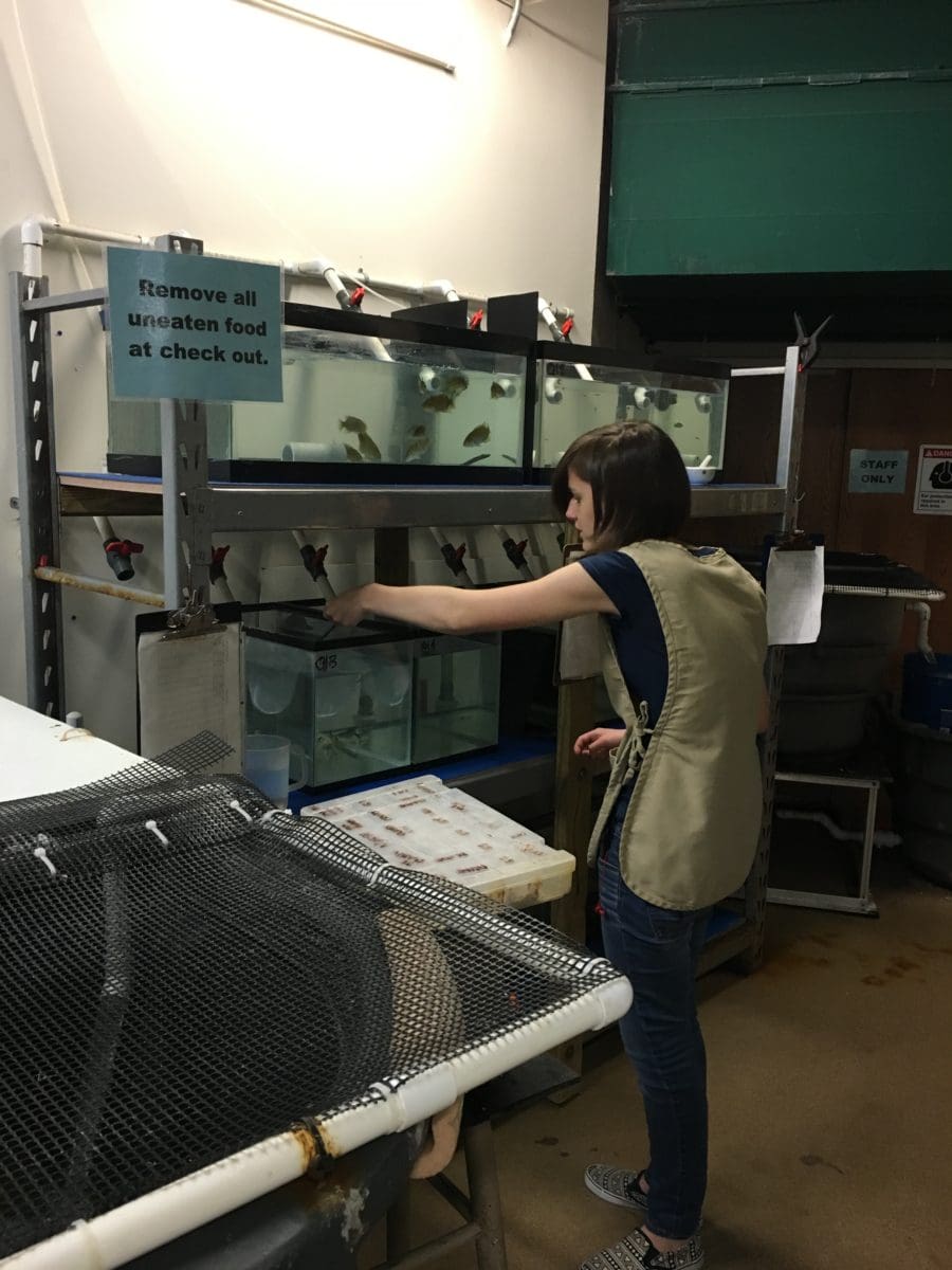 Virginia Living Museum Aquariums Department Job Shadowing Julia