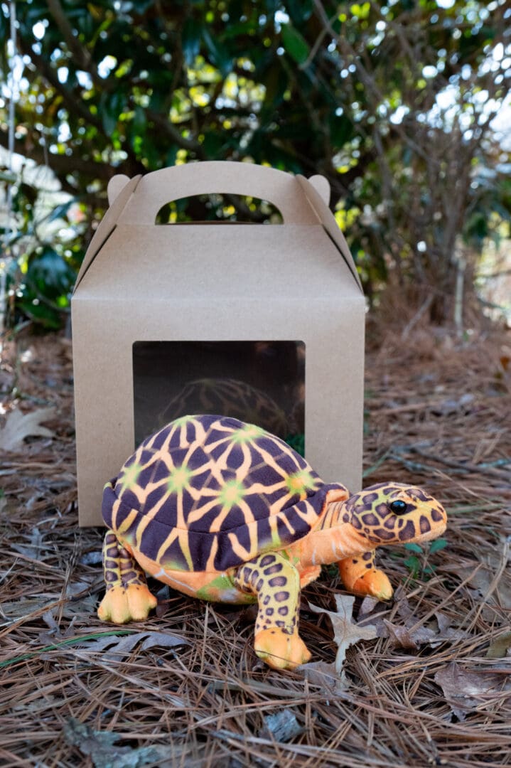Limited Edition Adopt a Wild Thing Turtle for RAAW.
