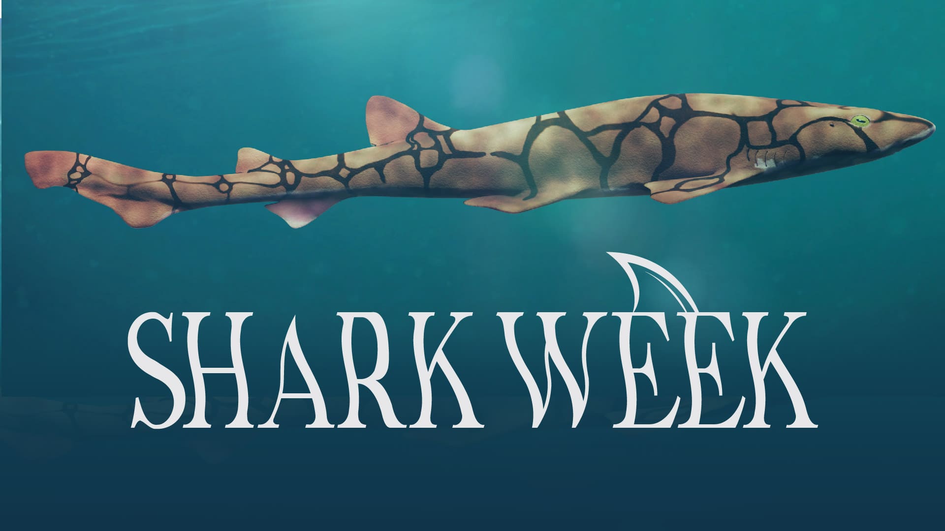 Shark Week