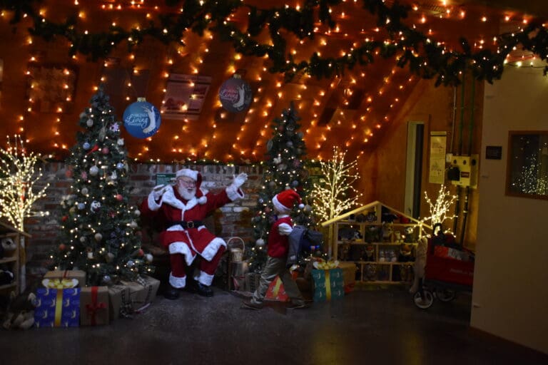 Winter Nature Nights | Virginia Living Museum