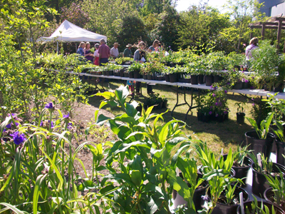 Spring Native Plant Sale