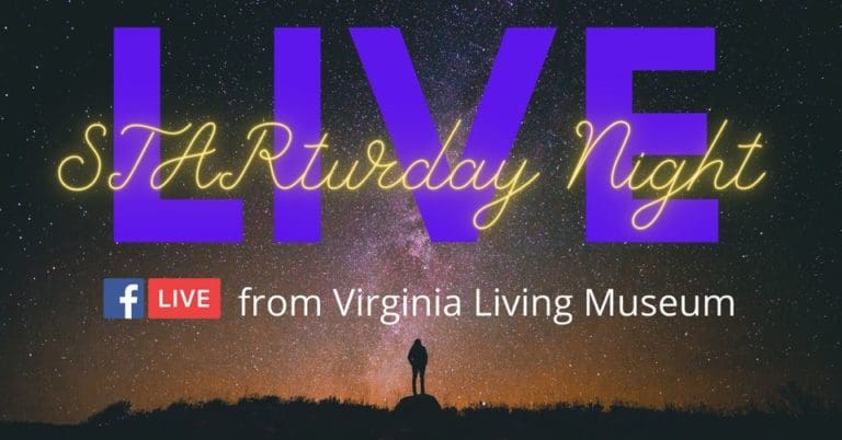Starturday Night LIVE