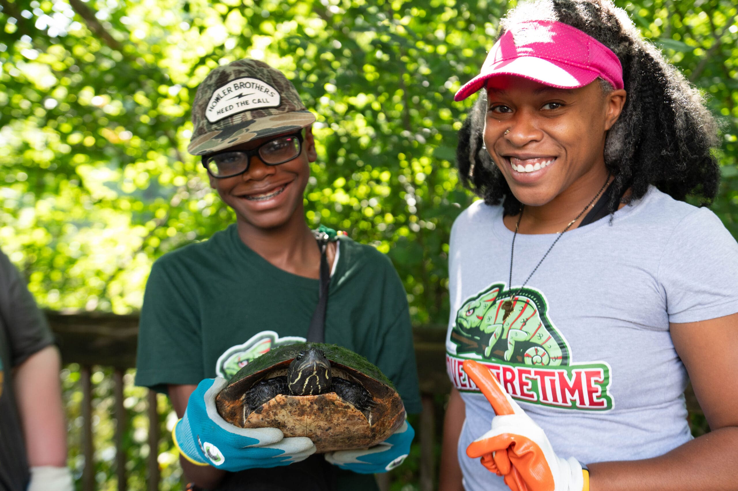 Turtle Census