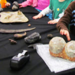 Dino Fossil Discovery Day