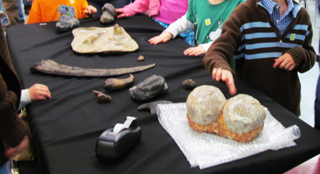 Dino Fossil Discovery Day