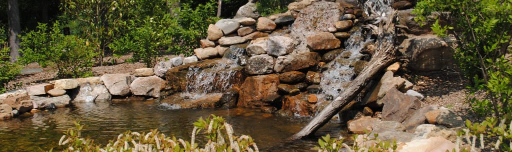 Conservation Garden