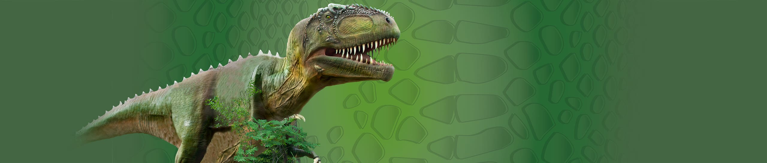 jurassic giants t rex