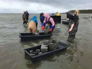 towing reefs