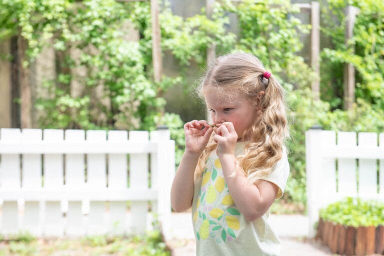 Little girl sniffs a leaf in the sensory garden at the museum.