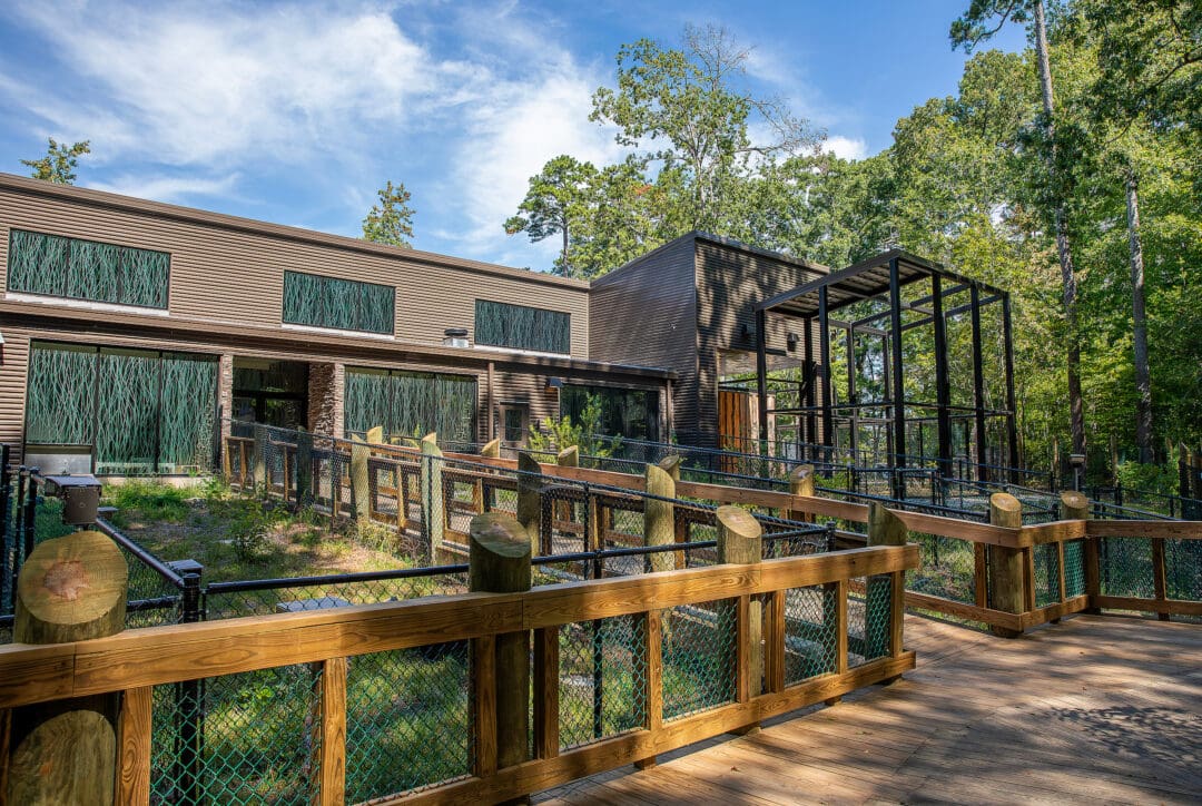 Wild Care Center at the Virginia Living Museum was designed using bird-strike prevention glass.