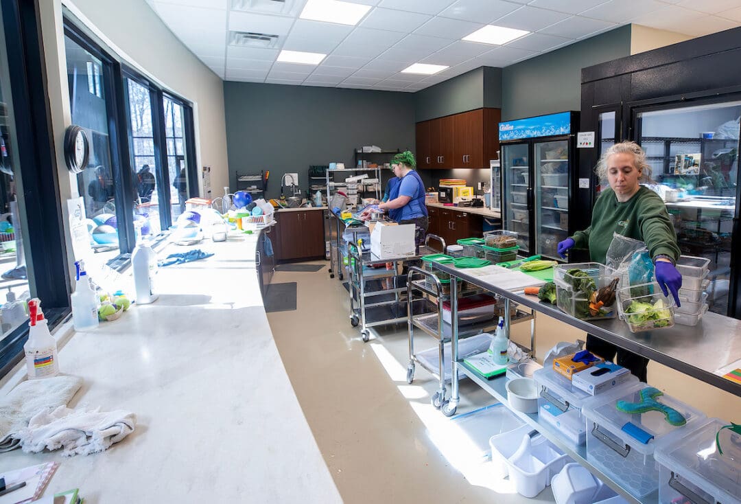 Guests get an inside look at the Commissary at the Wild Care Center.